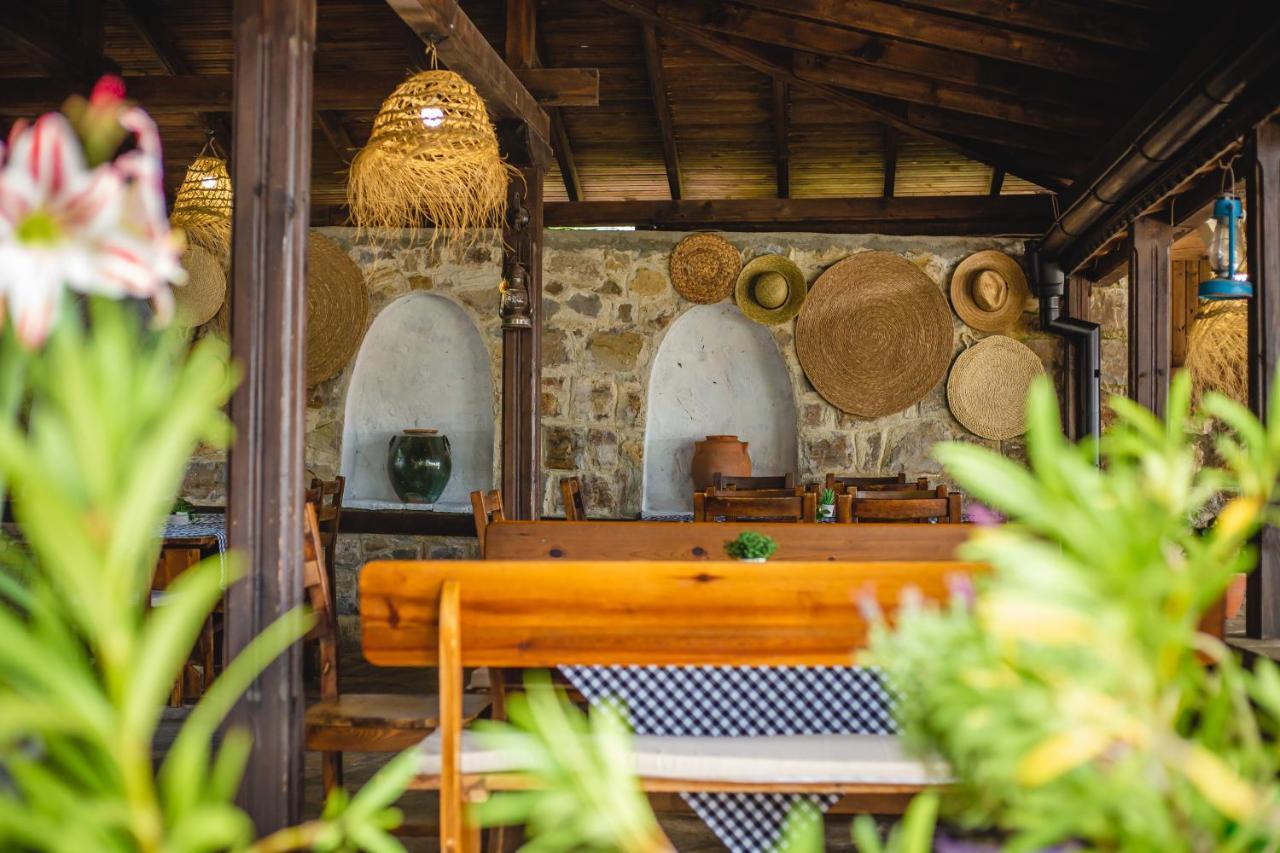 Villa Sol Sunny Beach Dış mekan fotoğraf